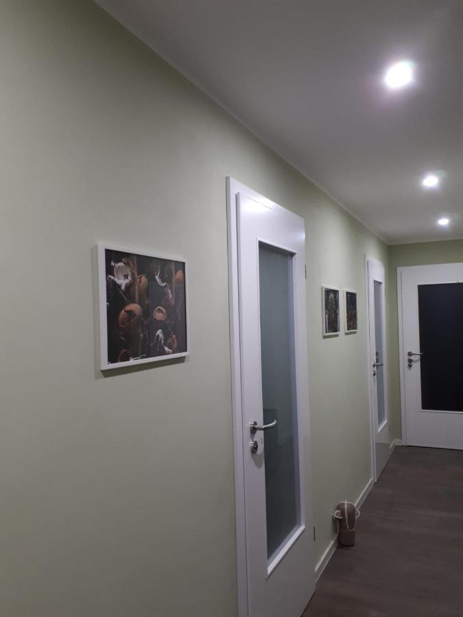 Ferienwohnung Rotbuche Tannenberg Dış mekan fotoğraf